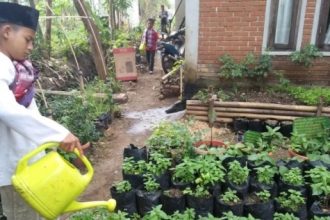 santri siram tanaman herbal