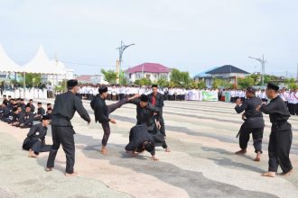 silat santri