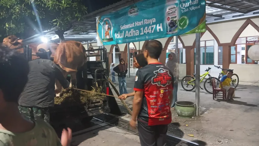 kurban