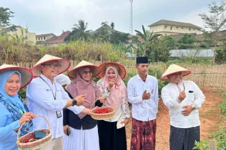 ponpes walisongo